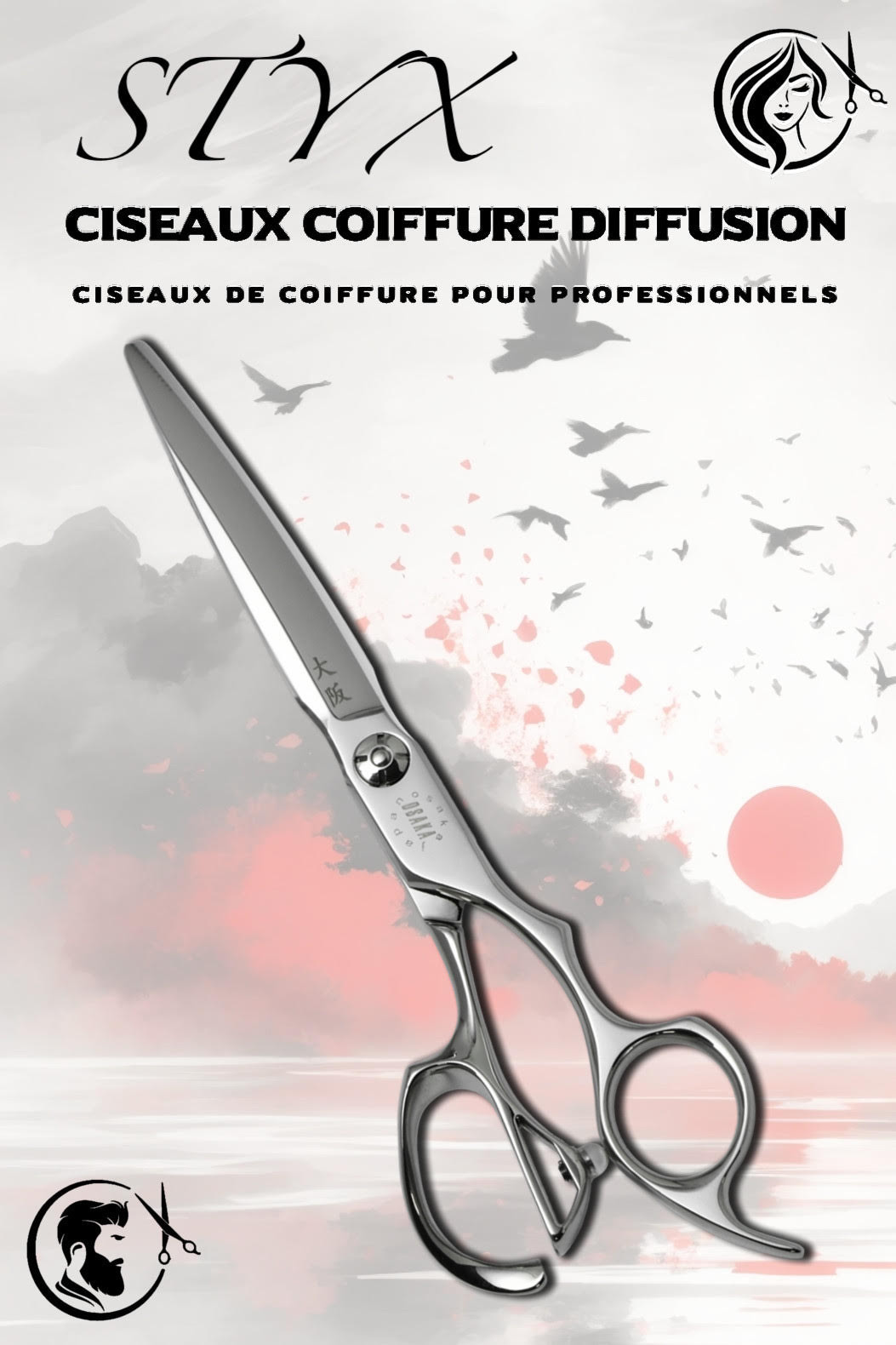 Couverture du modèle STYX